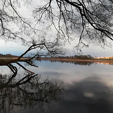 Apartament Sweet Dreams *