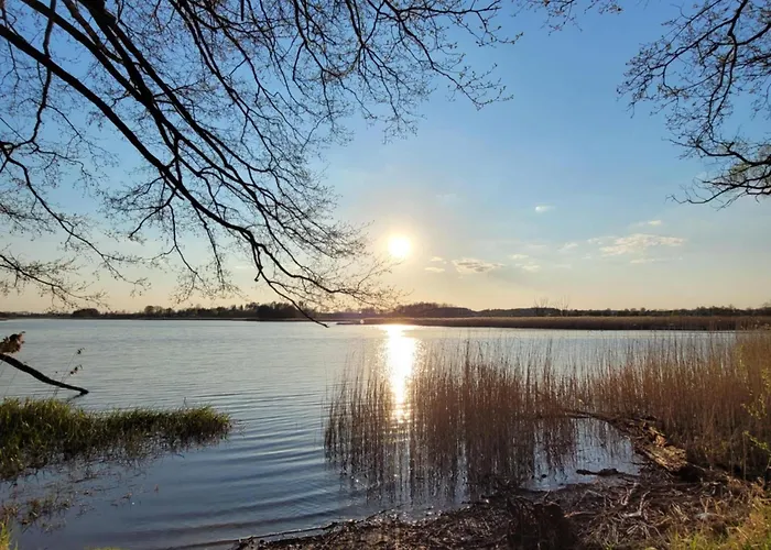 Sweet Dreams Щитно