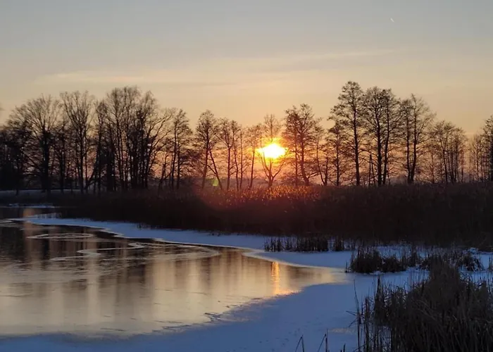 Апартаменты Sweet Dreams