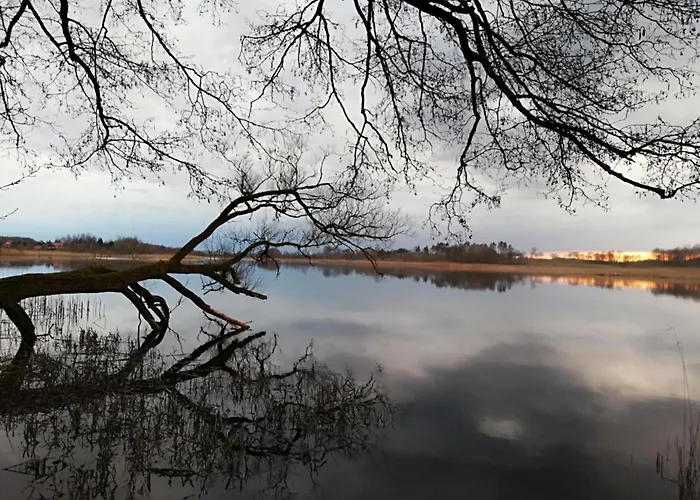 Апартаменты Sweet Dreams *